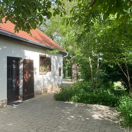 Racz Vendeghaz, Lajosmizse