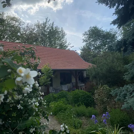 Racz Vendeghaz, Appartement